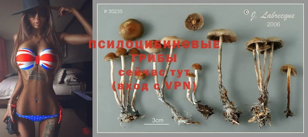 герыч Алзамай