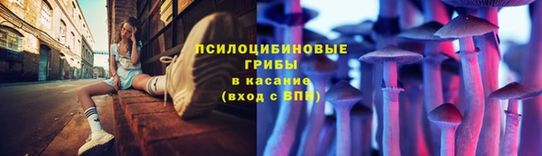 герыч Алзамай